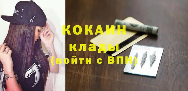 кокс Алексин