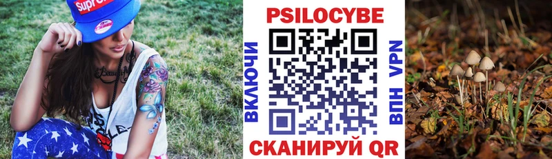 Галлюциногенные грибы MAGIC MUSHROOMS купить наркотик Ивангород
